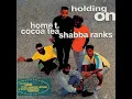 Pirate's Anthem (feat. Home T & Cocoa Tea)