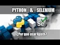 Cap Curso Python con Selenium Uso del Xpath Relativo y Absoluto