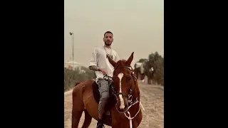 كامل اليوسف سهرة الهكر معضاد 