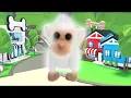 Did I trade it NFR Albino Monkey adoptme