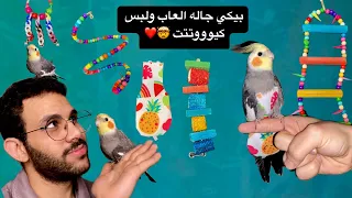 بيكي جاله هديه والعاب ولبس كتيررر وكيوتتت بيكي اتصدم 