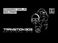 DESIRAY SAIJA X ROVARA - TRANSITION 303 (REMIXES BY ORLANDO VOORN \u0026 RIK WATTS)