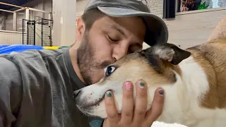 Dog Daycare Vlog #15 | I Broke My Tooth!