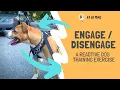 Engage Disengage The Best Reactive Dog Training Exercise