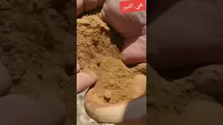هكذا هو التبر تراب الدهب دندنها
