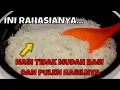 Download Lagu TIPS MEMASAK NASI AGAR TIDAK MUDAH BASI DAN PULEN HASILNYA