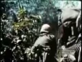 Vietnam War Footage - Ramblin Gamblin Man