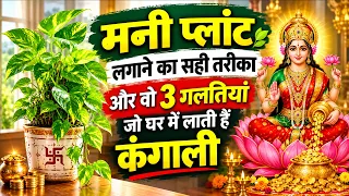 मनी प्लांट लगाने का सही तरीका और वो 3 गलतियां जो घर में लाती हैं कंगाली | Money Plant Vastu Tips