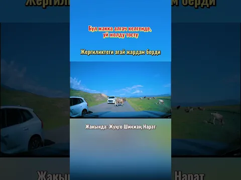 Бул жакка алгач келгенде, уй жолду тосту