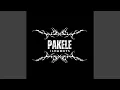 Download Lagu PAKELE