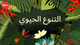 ما سر أهمية التنوع الحيوي    كيم بريشوف دندنها