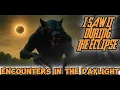 Download Lagu Dogman Sightings In The Daylight : 10 Encounters You Will Never Forget
