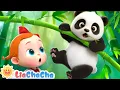 Lagu Panda Song | EP193 | Animal Songs for Babies | Nursery Rhymes \u0026 Kids Songs | LiaChaCha