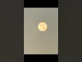 Lagu Captured This Cold Moon #coldmoon #fullmoon #supermoon #explorepage #2025