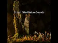 Guiding Through The Forest