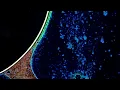 Dobrawa Czocher - Daylight (directed by Magnificent Matter)