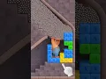 Will The Bear Survive