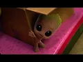 Spidey Rescues a Stolen Pufferfish! 🐡💚 | Marvel's Spidey and his Amazing Friends | Disney Jr.