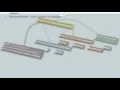 decision control instructions in c