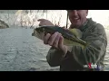 How to Fish Tail Spin Lures for Bass on Steep Edges