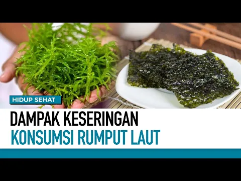 Rumput Laut Bisa Sebabkan Anemia? Yuk Simak Penjelasanya