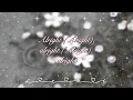 Download Lagu Like a flower – Irene | Lyrics | 가사
