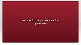 How should I use pm2 command for npm run dev