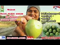 Download Lagu Buah bidara,buah musim dingin di Taiwan || makan buah bidara
