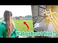Download Lagu MARLEY WAT DOE JIJ NOU?! 😂 \u0026 eindelijk verven! | felinehoi VLOG #346