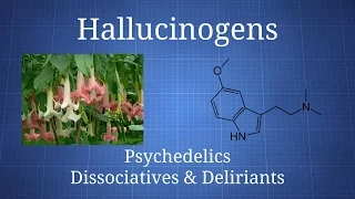 hallucinogens how psychedelics dissociatives u0026 deliriants differ