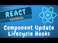 17 React Component Life Cycle methods when state updates and component unMount Method - ReactJS