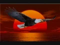 Eagles - Tequila Sunrise