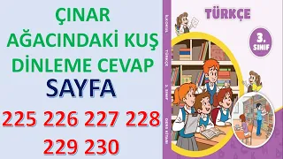 ÇINAR AĞACINDAKİ KUŞ DİNLEME METNİ CEVAP 3.SINIF TÜRKÇE DERS KİTABI SAYFA 225 226 227 228 229 230