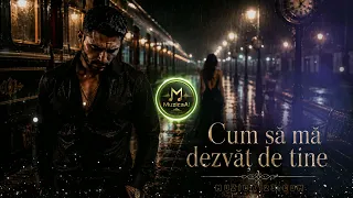 Muzica Ai - Cum sa ma dezvat de tine - Descarcă MP3