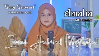 Download INNAL HABIBAL MUSTHOFA - Banjari Cover 🎤 Voc. Amalia MP3