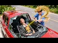 Download Lagu Trai nghèo một chưởng chặn xe, cứu nữ tổng tài, thần y khủng bố quá!