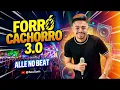 RAPARIGUEIRO NÃO COLECIONADOR DE AMOR - FORRÓ CACHORRO 3.0 - Alle No Beat 