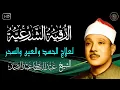 الرقية الشرعية للحسد والسحر والمس الشيخ عبدالباسط عبدالصمد   Powerful Ruqyah Against Sihir and Jinns