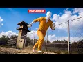The Genius Inmate Who Escaped Prison And Hid for 20 Years