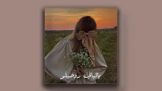 ياليالي روحيلو بطيء 