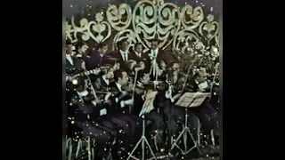 ادي ربيع فريد الاطرش 