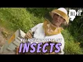 Bill Nye The Science Guy on Insects