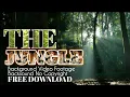 THE JUNGLE || Backsound HUTAN RIMBA no copyright + Video FREE DOWNLOAD
