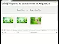 Plupload directive in angularjs 1