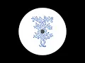 Download Lagu Maria Amor \u0026 Shcuro - Waves Of Hope (Fireground Remix) [PARAISO015]