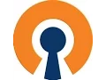 The OpenVPN setup -