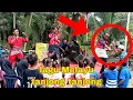 Download Lagu LAGU MELAYU TANJONG TANJONG _ NEO ULAT BULU