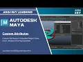 Custom Attributes in Autodesk Maya Float Enum Boolean String Explained