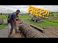 Download Lagu This FREE Walnut Log Could Be Worth Thousands!