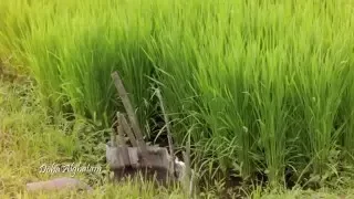 الناس للناس والكل بالله   عبدالله الخميس دندنها